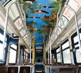 Buses - Interior